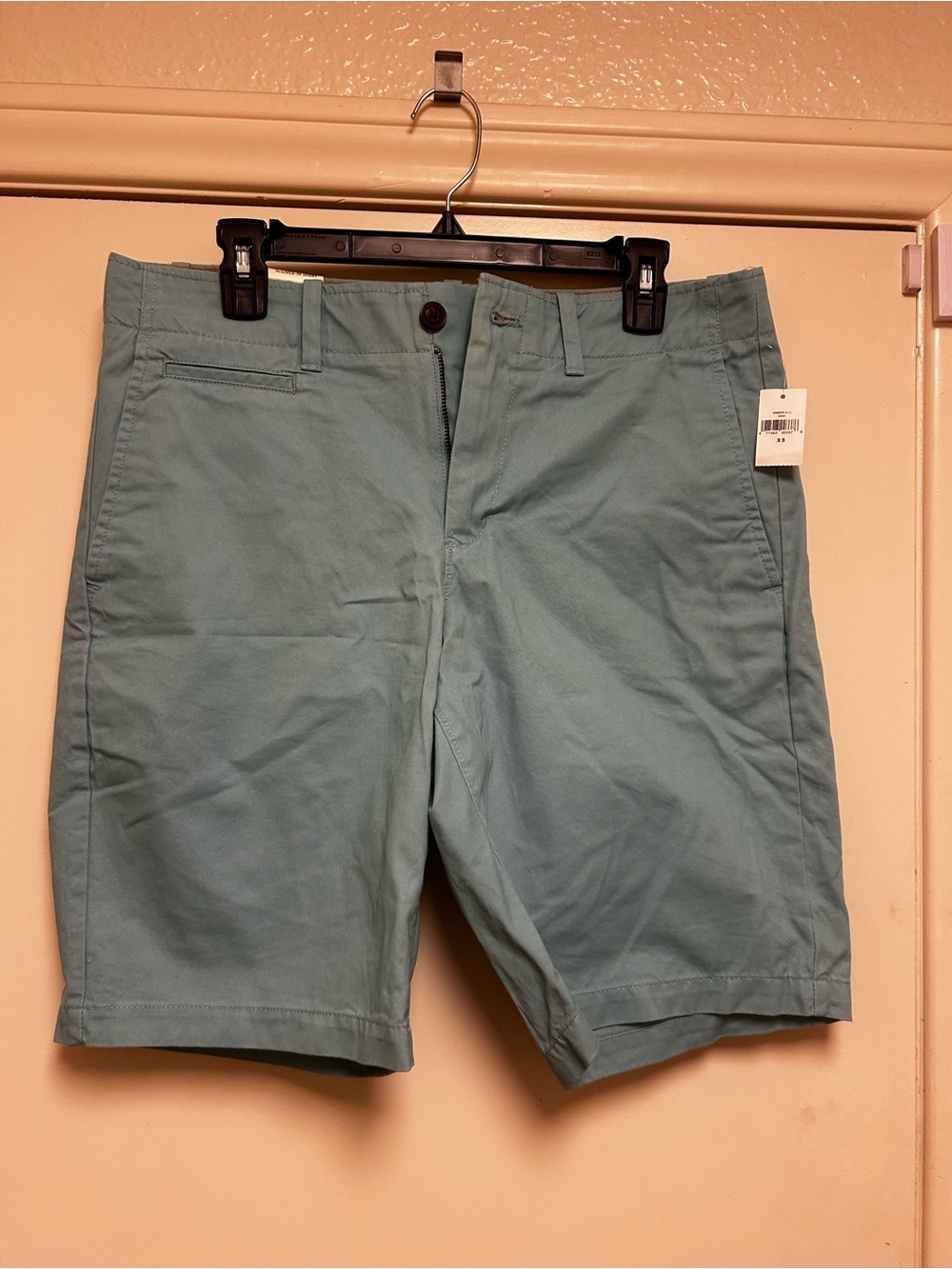 GAP Men's Teal Flat Front Chino Shorts